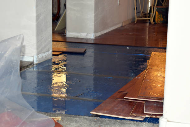 Professional Water Damage Restoration technician working in Brinkhaven, OH
